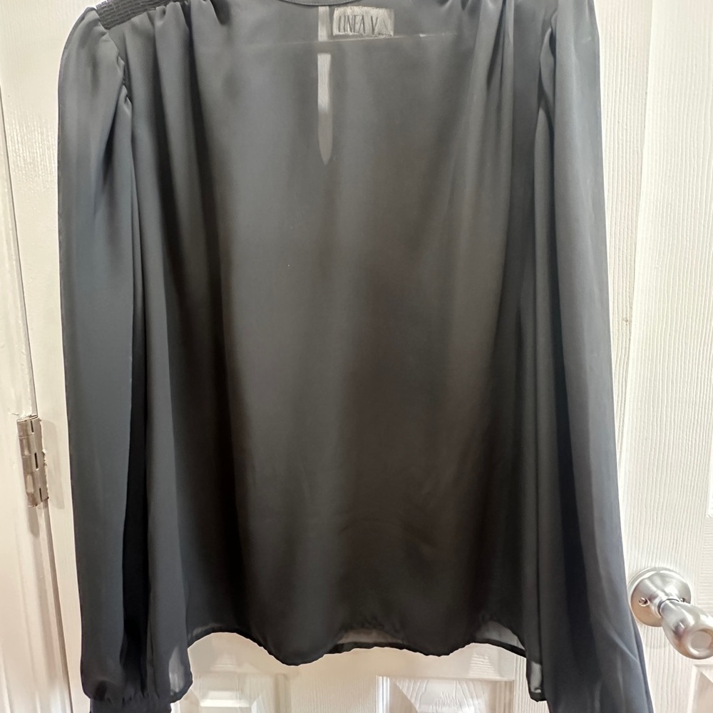 Linea V Elegant Black Sheer Blouse